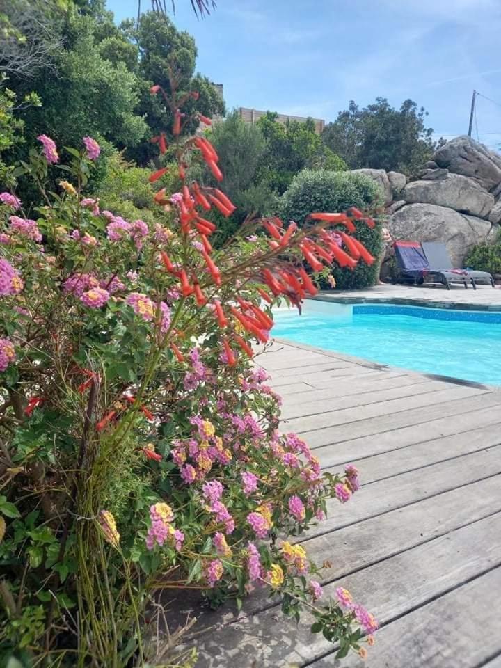 Residence Stella D'Oro Porto-Vecchio  Exterior foto